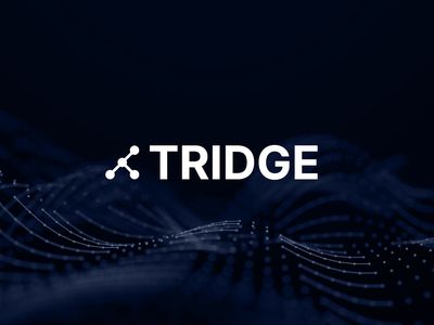 TRIDGE 채용 | [TRIDGE] Global Fulfillment - Buyer Development (일본팀 바이어 개발 ...
