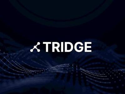 TRIDGE 채용 | [TRIDGE] PM 인턴 - 슈퍼루키